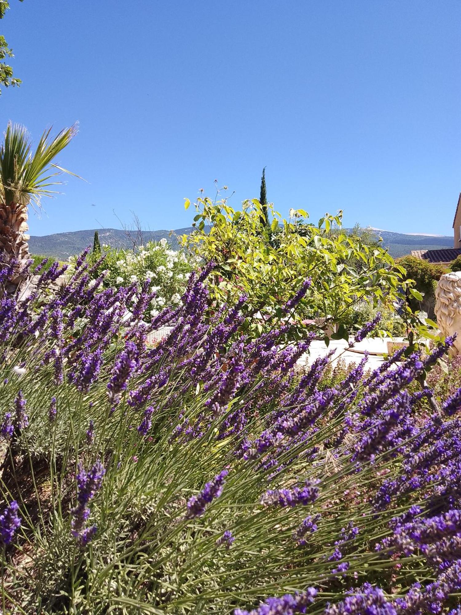 Les Gites Du Mont Ventoux เบดวง ภายนอก รูปภาพ